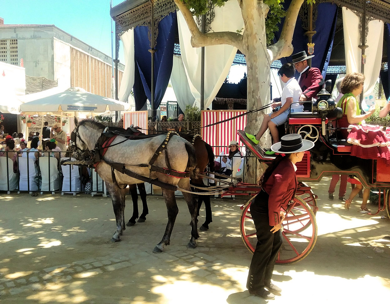 Days Out Andalucia to Jerez
