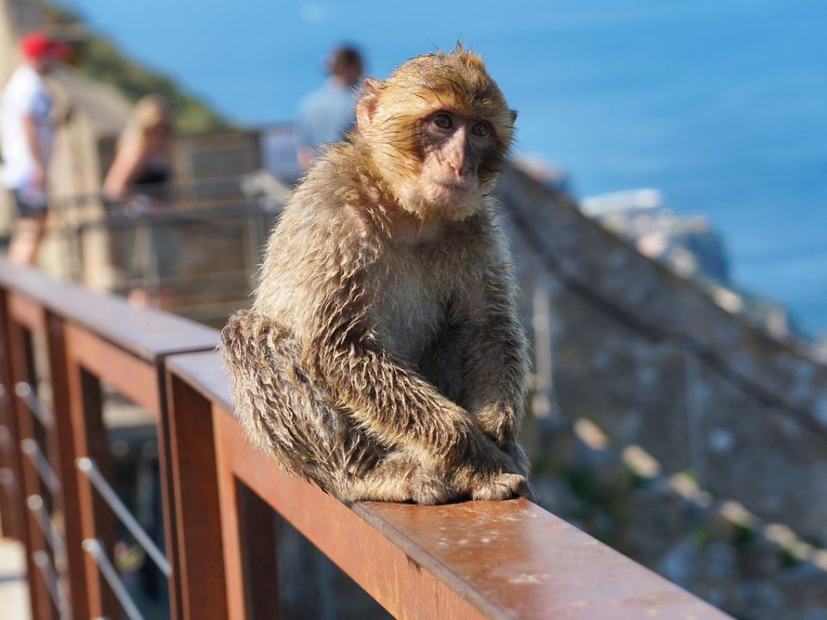 Gibraltar